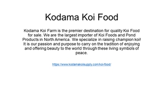 Kodama Koi Food,