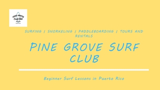 Book Beginners Surf Lessons In Puerto Rico With Pine Grove,