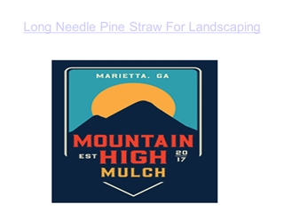 Long Needle Pine Straw For Landscaping Digital slide making software