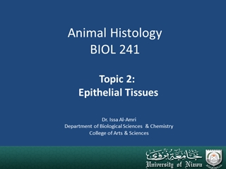 Animal Histology BIOL 241 - جامعة نزوى,