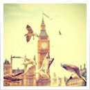 Study abroad consultants PPT making software