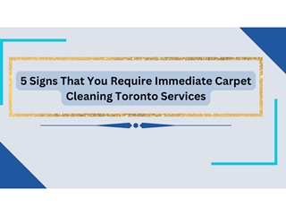 5 Signs that you require immediate carpet cleaning Toronto services,