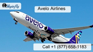 Avelo Airlines Baggage Fees,