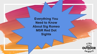 Everything You Need to Know About Sig Romeo MSR Red Dot Sights,