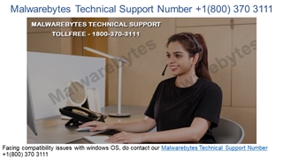 Malwarebytes Customer Service Number +1(800) 370 3111,