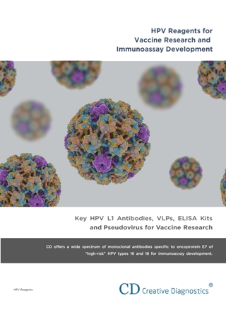 HPV Reagents for Vaccine Research and Immunoassay Development Digital slide making software