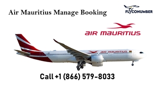 Air Mauritius Manage Booking Flyconumber,