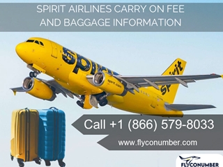 Spirit Airlines Carry On fee Flyconumber,