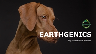 EARTHGENICS - Dog Vitamins With Probiotics Products.,