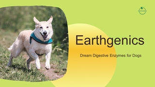 Earthgenics - Dream Digestive Enzymes for Dogs Digital slide making software