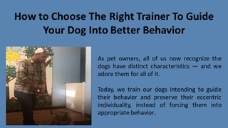 How To Choose The Right Trainer To Guide Your Dog Into Better Behavior,Online HTML PPT displaying platform