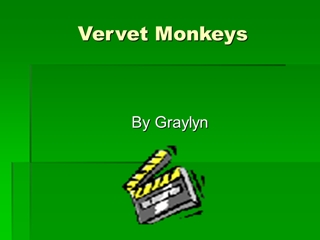 Vervet Monkeys - Wilson Creek School District,