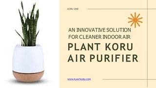 Plant Koru Air Purifier An Innovative Solution for Cleaner Indoor Air,