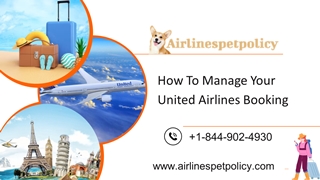 United Airlines Manage Booking Process Digital slide making software