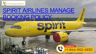 Know everything about spirit airlines manage booking,