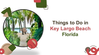 Things to Do in Key Largo Beach, Florida,